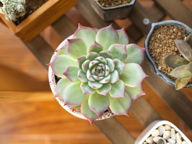 4种主流方案优缺点解析阳台安装什么晾衣架好？(图2)